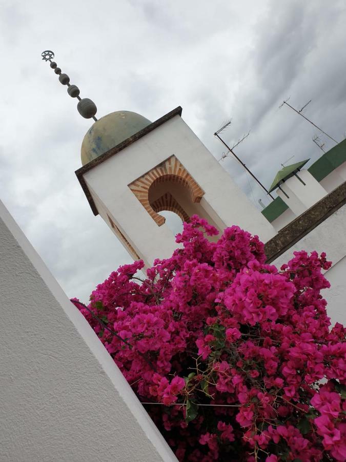 Entre 2 Mezquitas Apartamento 8 Córdoba Buitenkant foto
