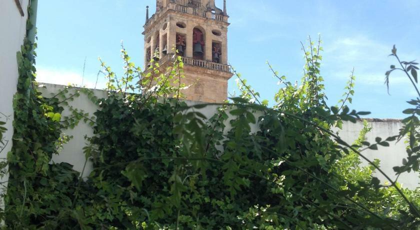 Entre 2 Mezquitas Apartamento 8 Córdoba Buitenkant foto